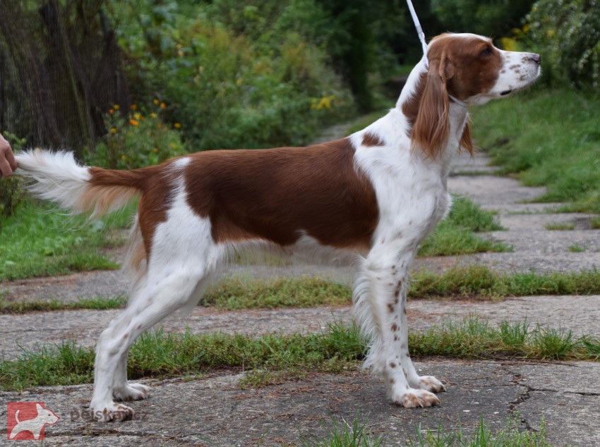 z Doubravského údolí