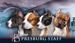 Presburg staff