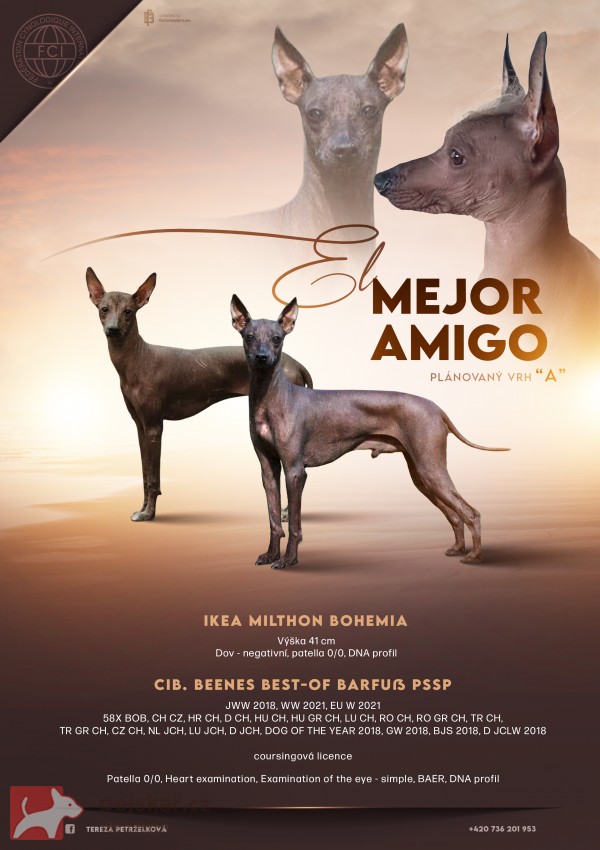 El mejor amigo