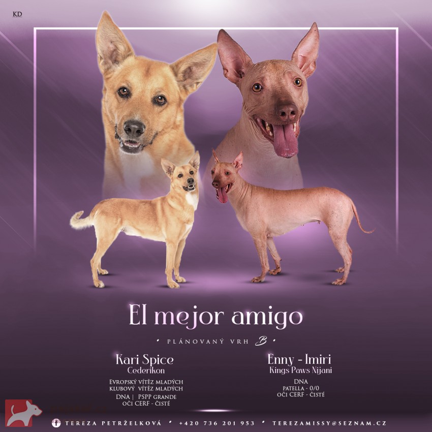 El mejor amigo