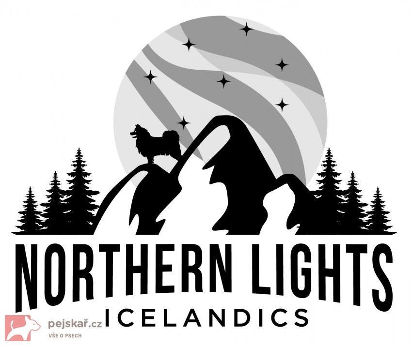 Northern Lights Icelandics