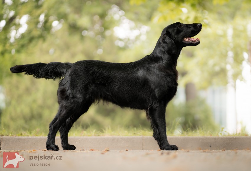 od Brodských strání