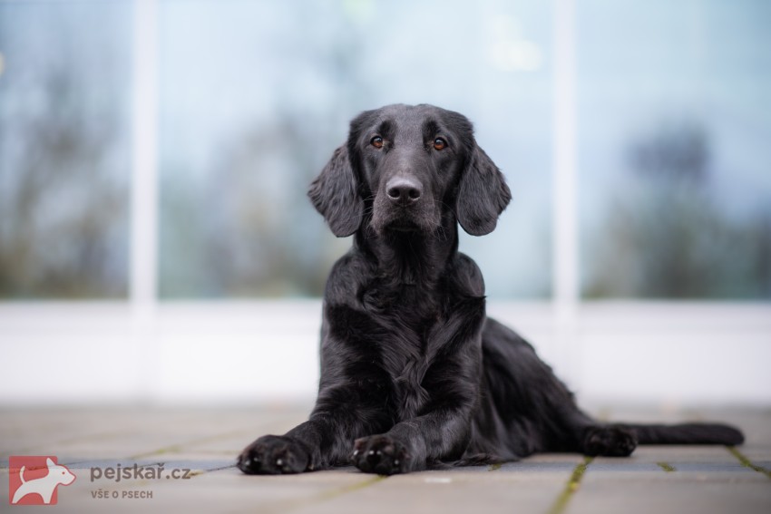 od Brodských strání