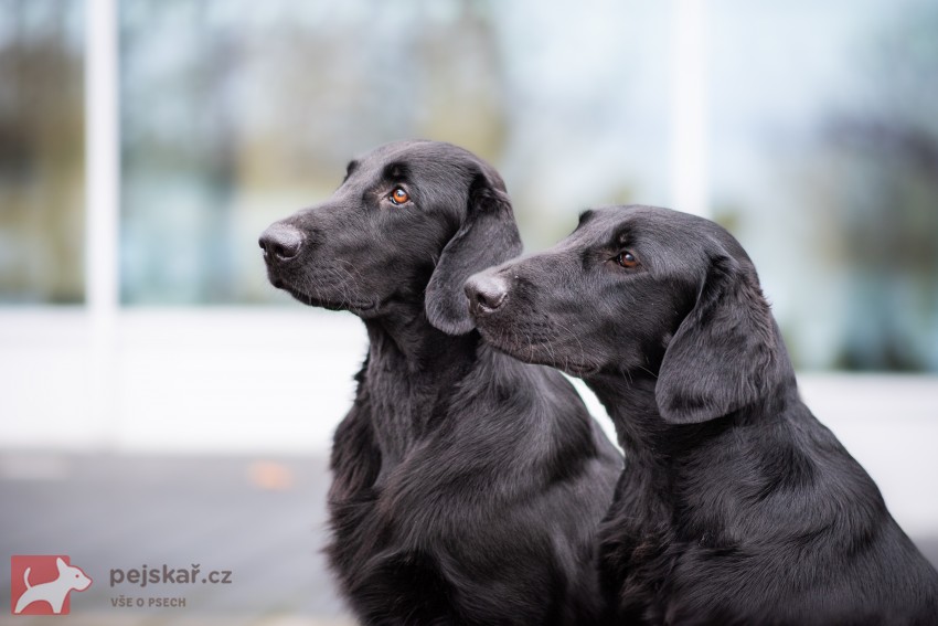 od Brodských strání