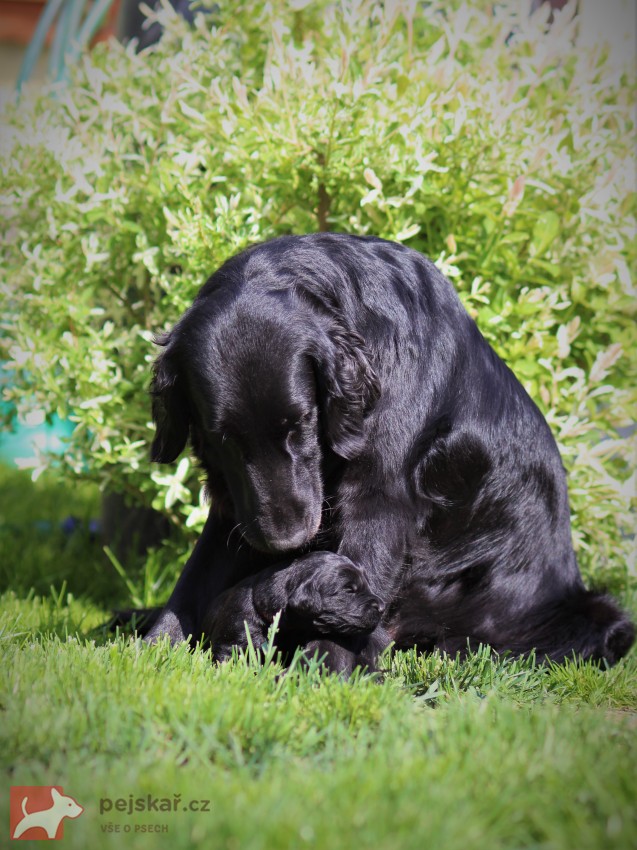 od Brodských strání