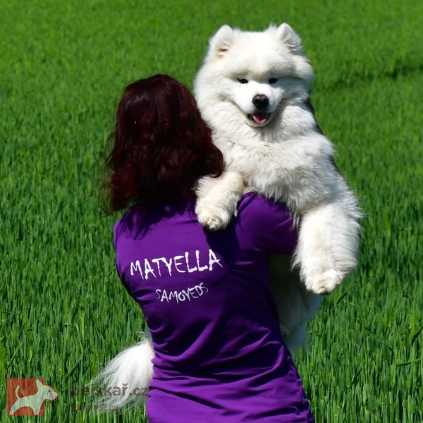 Matyella