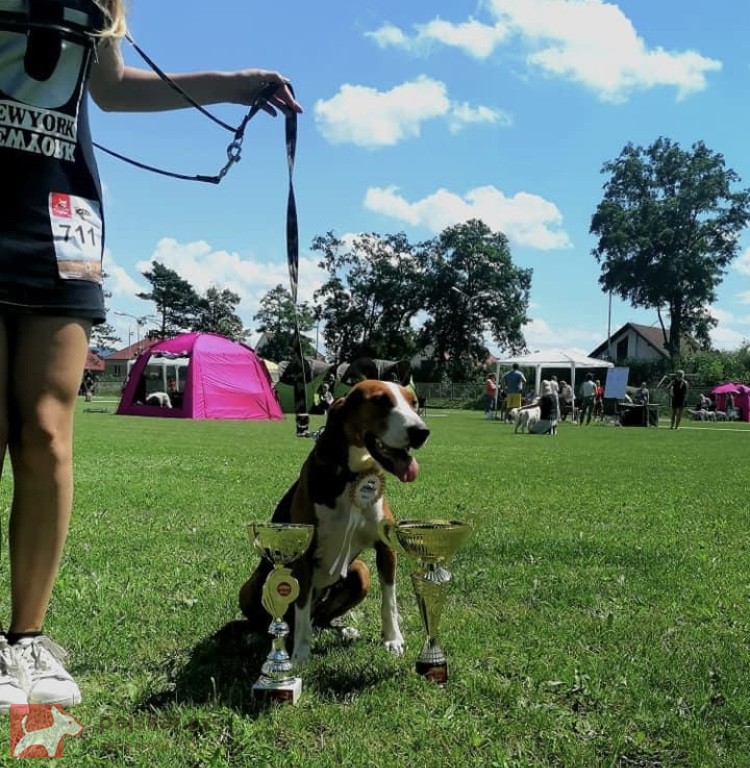 Z Hřebenských háj