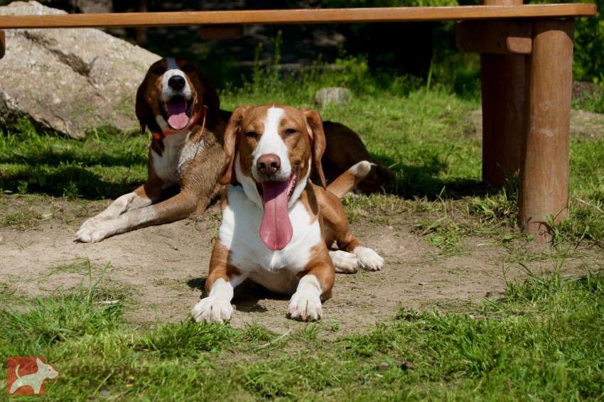 Z Hřebenských háj