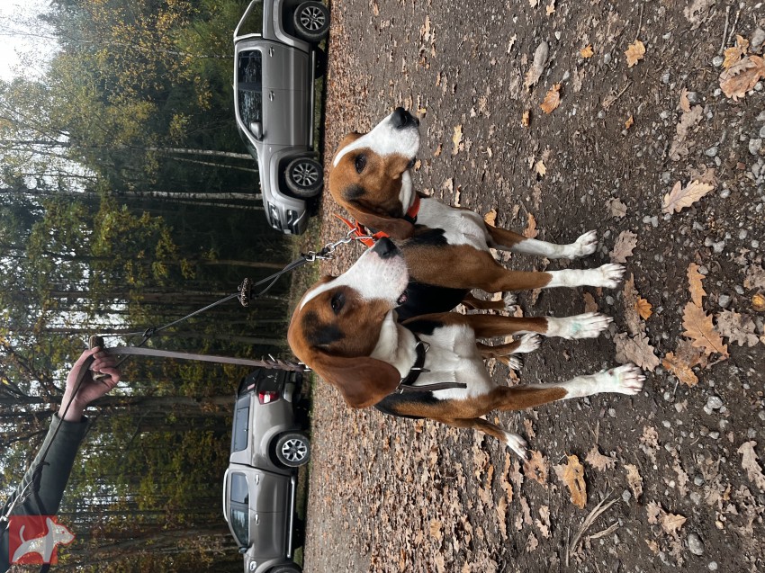 Z Hřebenských háj