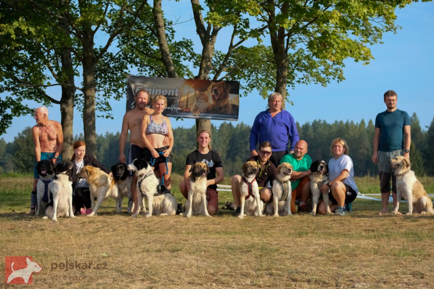 Severozápadní cesta