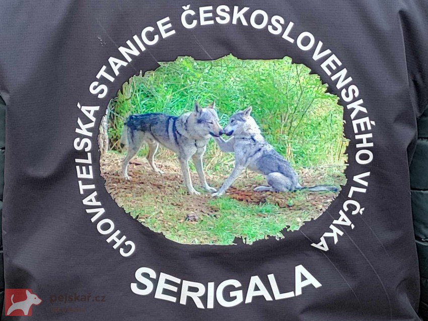 Serigala