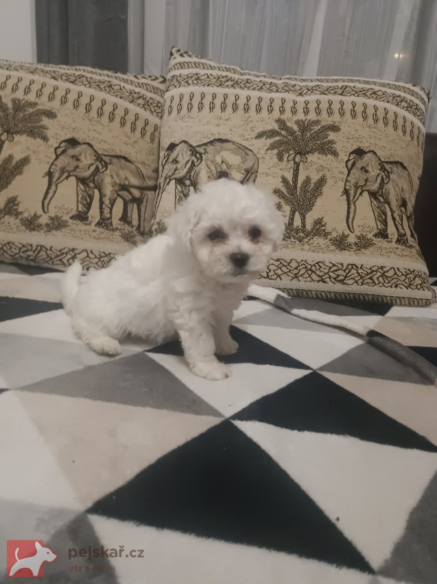 Marija Property