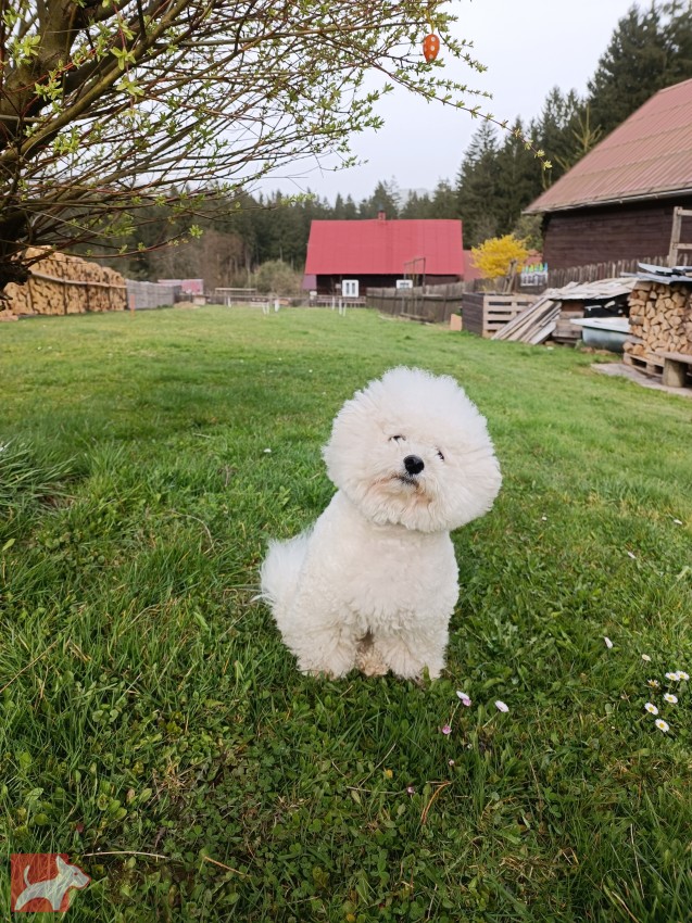 Marija Property