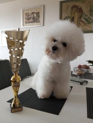 Eddie Campanella Blanca 