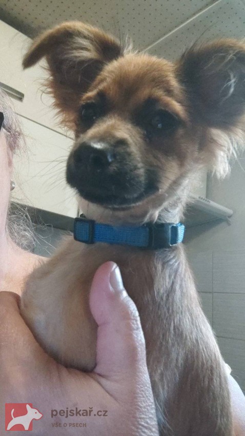 Poslední dva klučici RT