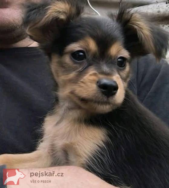 Poslední dva klučici RT