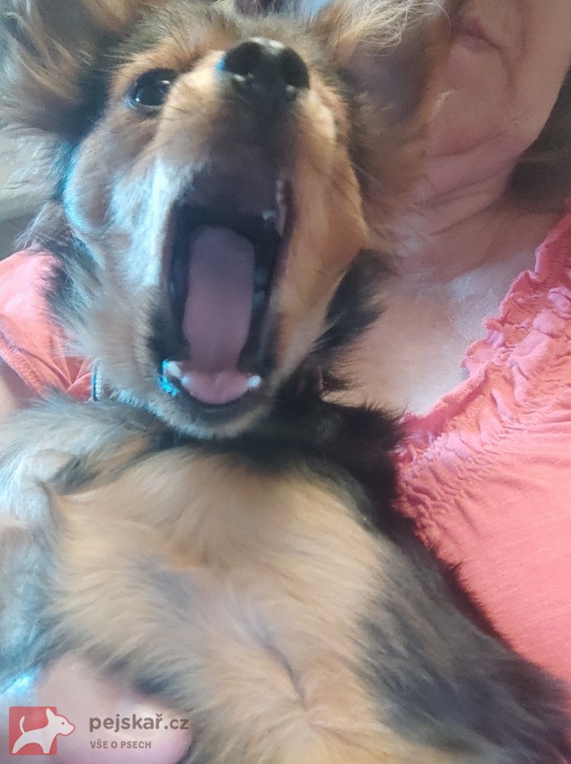 Poslední dva klučici RT