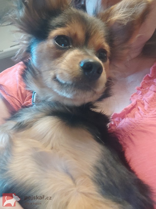 Poslední dva klučici RT