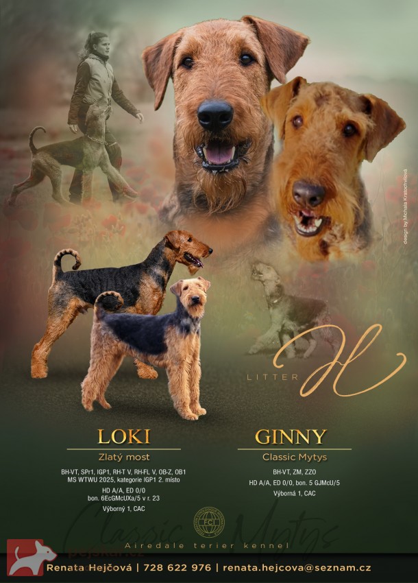 Airedale terrier , erdelterier