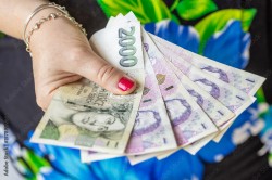 Inzerce psů Potřebujete rychlou a spolehlivou půjčku