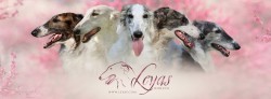 Leyas
