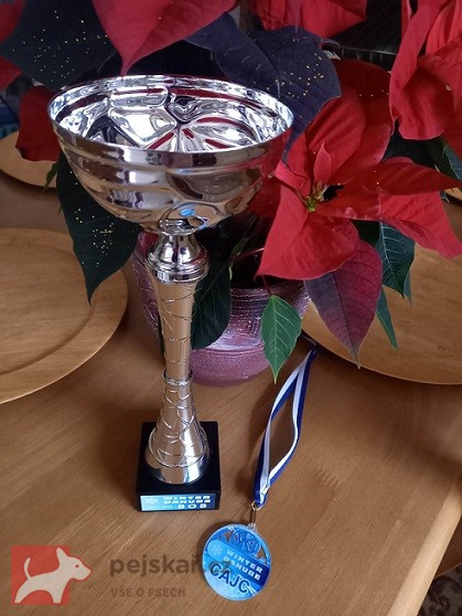 Entlebušský salašnícky pes