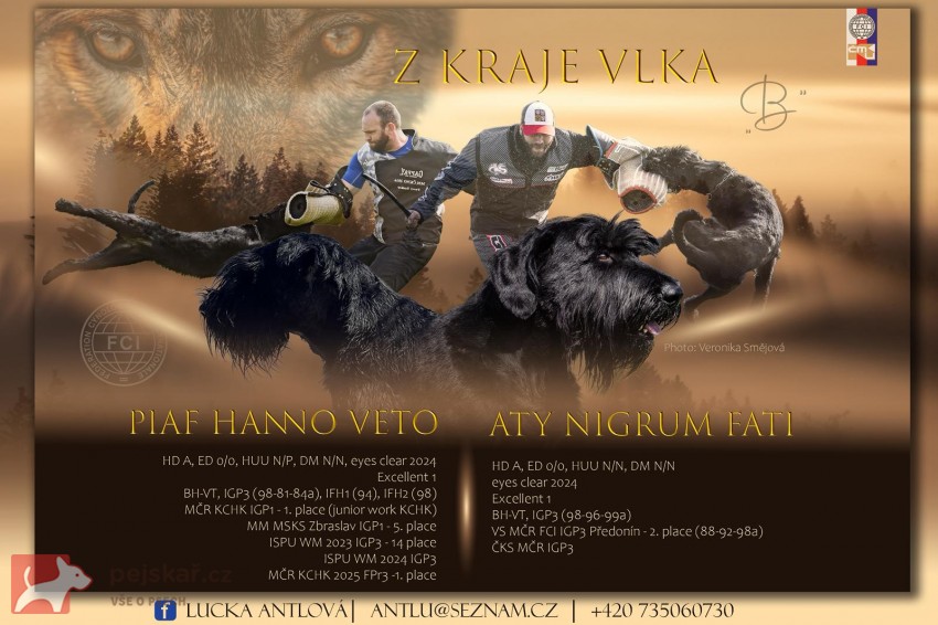 Knírač velký s PO