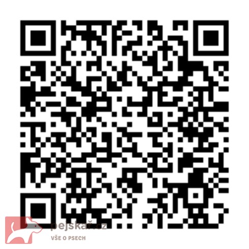 německý ovčák s pp štěňata