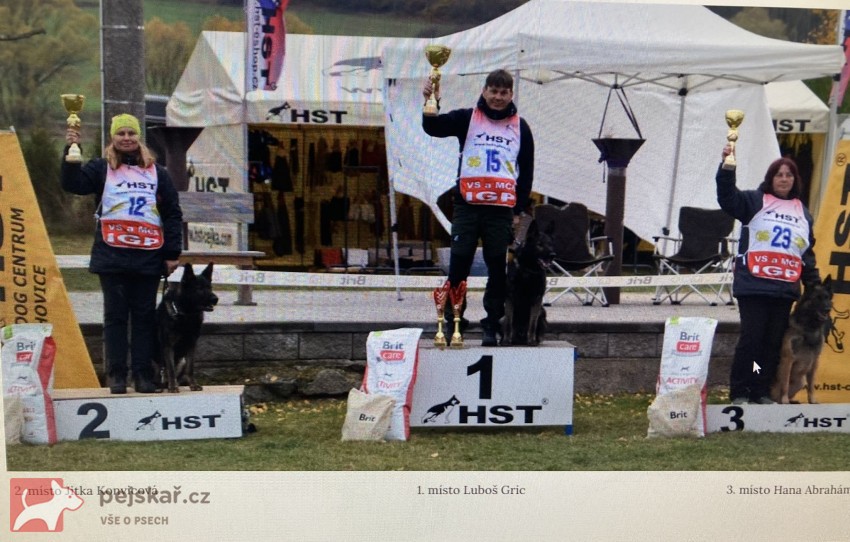 Německý ovčák mohutná fenka