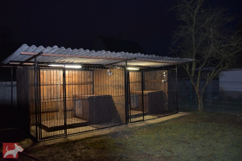 Německý ovčák štěňata Rokycany