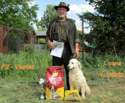 Zlatý retrívr šť. s PP