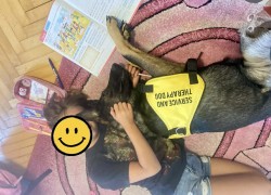 NĚMECKÝ OVČÁK S PP – VLKOŠEDÁ ŠTĚŇATA