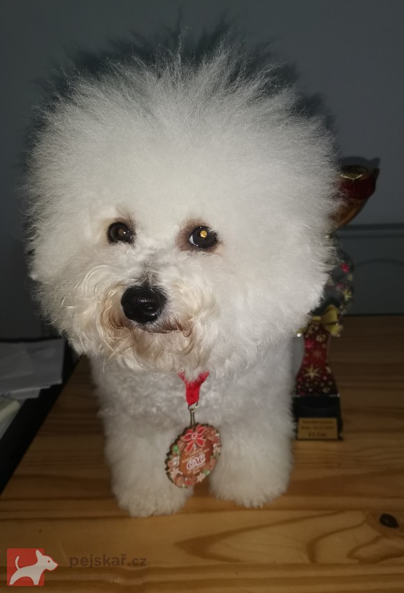 Cassidy from the Castle