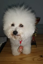 Cassidy from the Castle