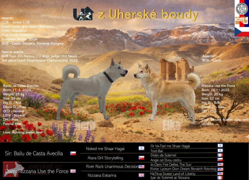 ŠTĚŇATA KANAÁASKÁ PES S PP FCI, ODBĚR V DUBNU