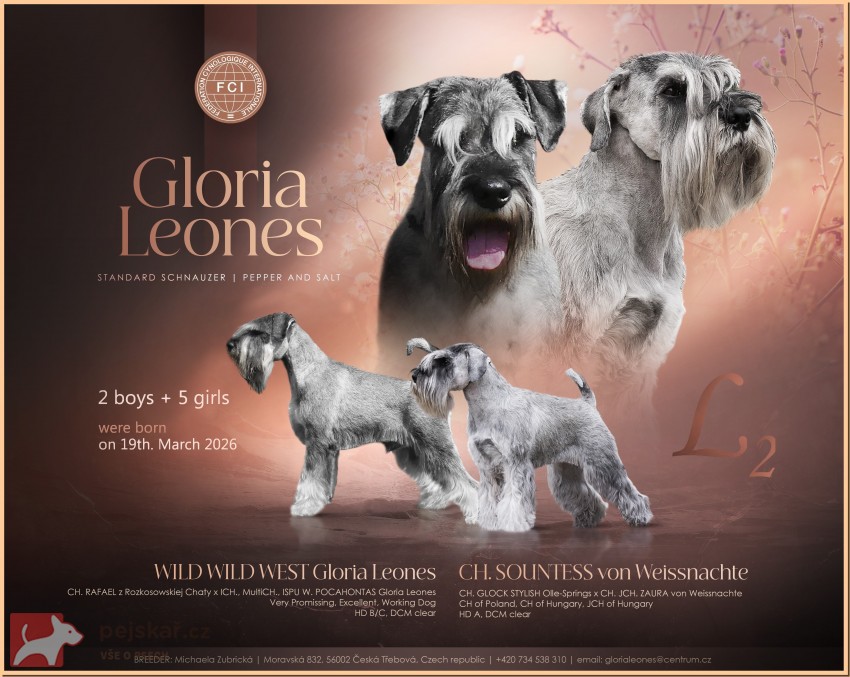 Knírač střední pepř a sůl