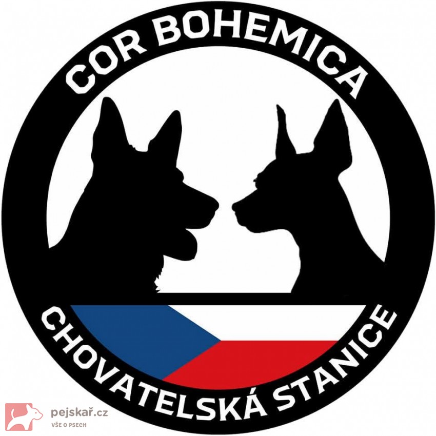 Cor Bohemica