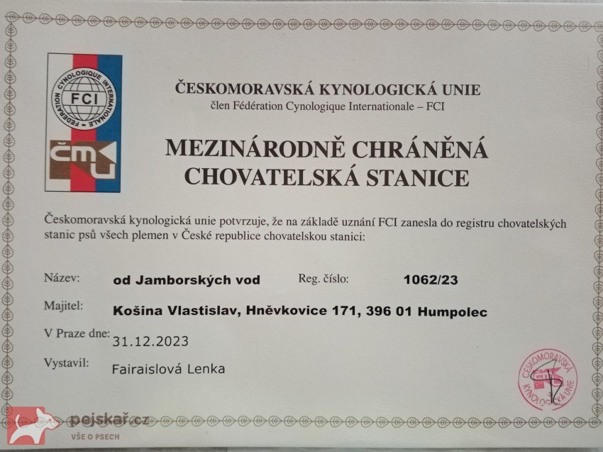 Appenzellský salašnický pes - štěňátka s PP