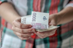 Inzerce psů FINANČNÍ PODPORA, KDYŽ JI NEJVÍCE POTŘEBUJETE!