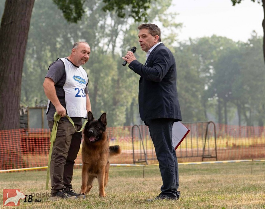 Německý ovčák - štěňátka s PP