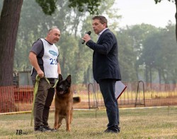 Německý ovčák - štěňátka s PP
