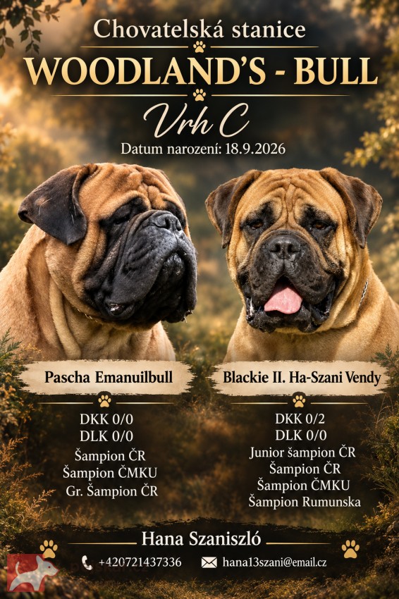 bullmastif, bullmastiff, bulmastif